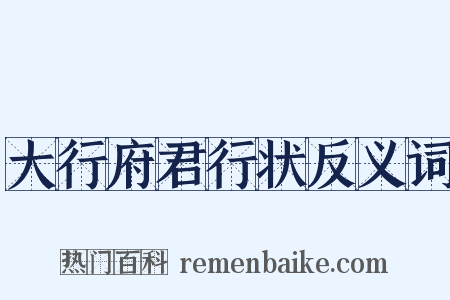大行府君行状反义词是什么意思的图片